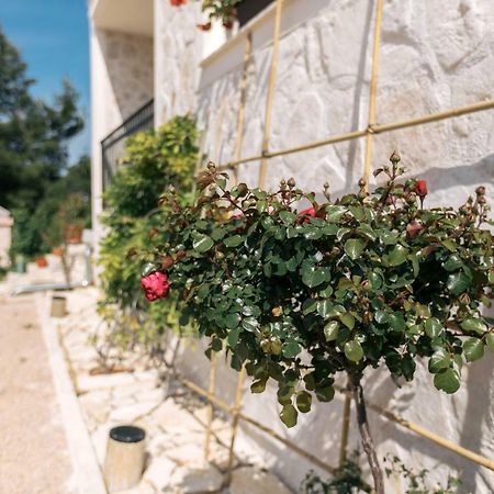 Hedon-Stone Apartment Starigrad Paklenica Bagian luar foto