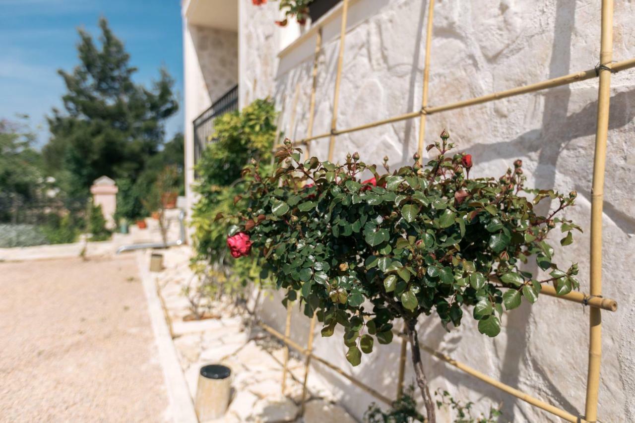 Hedon-Stone Apartment Starigrad Paklenica Bagian luar foto